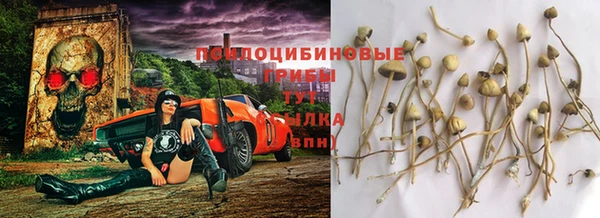 соль ск Арсеньев