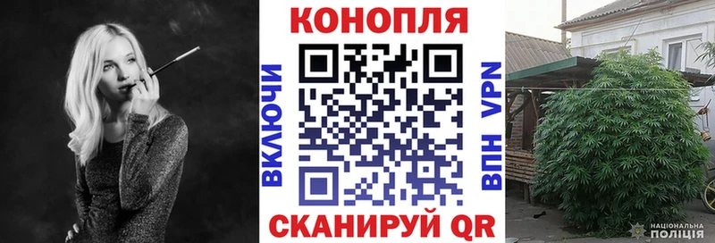 Купить где  Менделеевск  Канабис планчик 